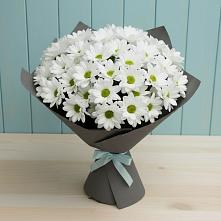 Букет цветов из:  Хризантемы #REPLACE_PRED# Вяземском