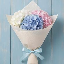 Букет цветов из:  Гортензия #REPLACE_PRED# Вяземском