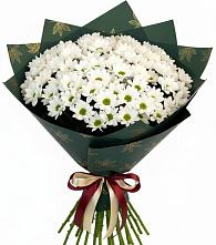 Букет цветов из:  Хризантемы в Вяземском