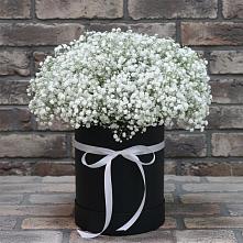 Цветочная композиция из Гипсофила в шляпной коробке в Вяземском