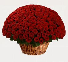 Премиум букет из: Розы в Вяземском